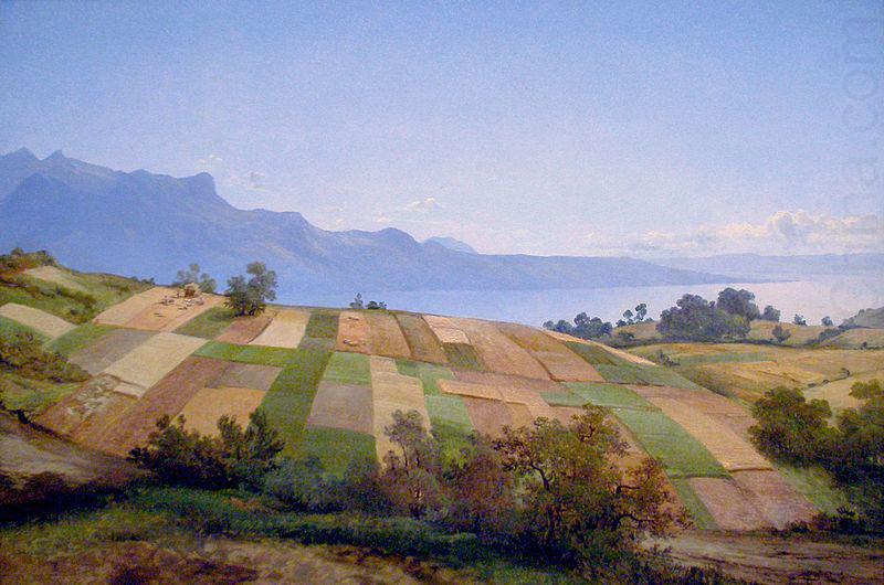 Alexandre Calame Swiss Landscape china oil painting image